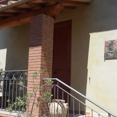 Le Camere di Nonna Mara Montescudaio Esterno foto