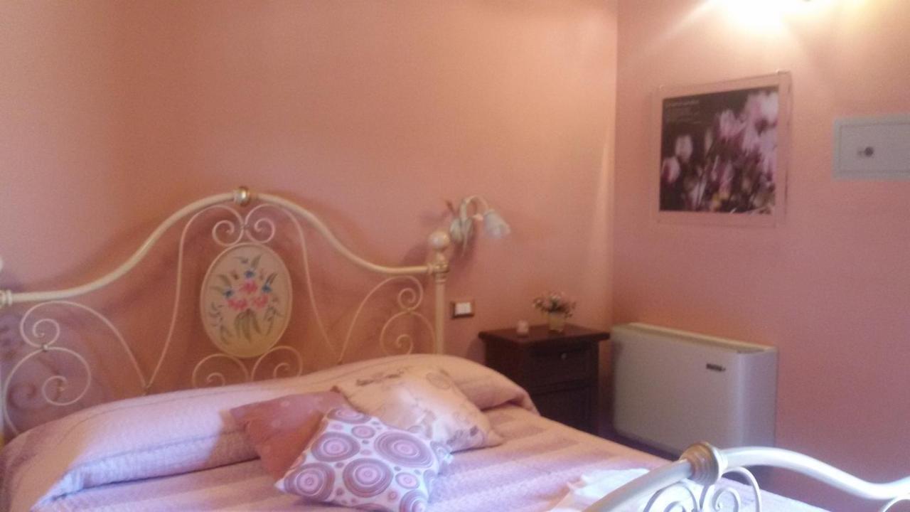 Le Camere di Nonna Mara Montescudaio Esterno foto